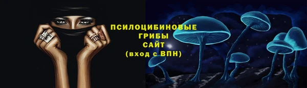 Альфа ПВП Бугульма